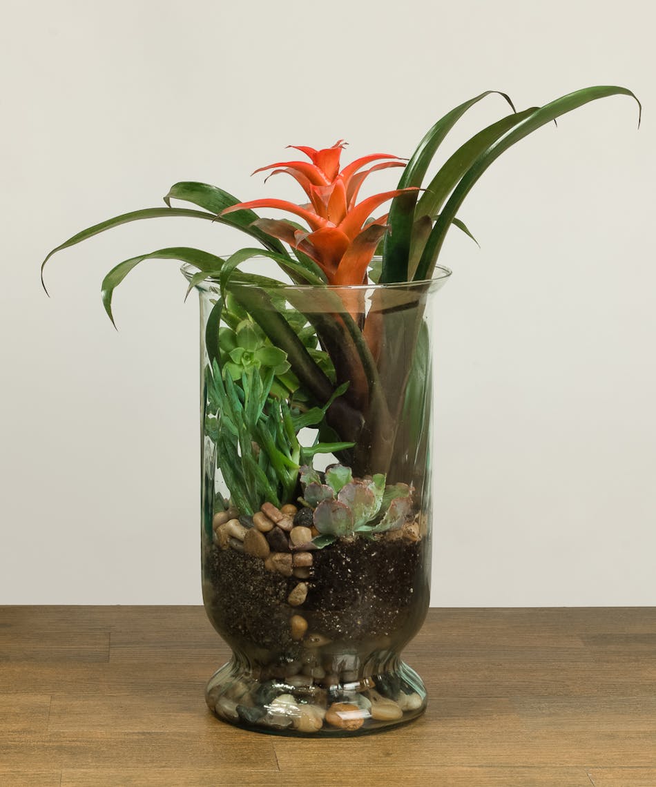 Large Glass vase with assorted blooming plants