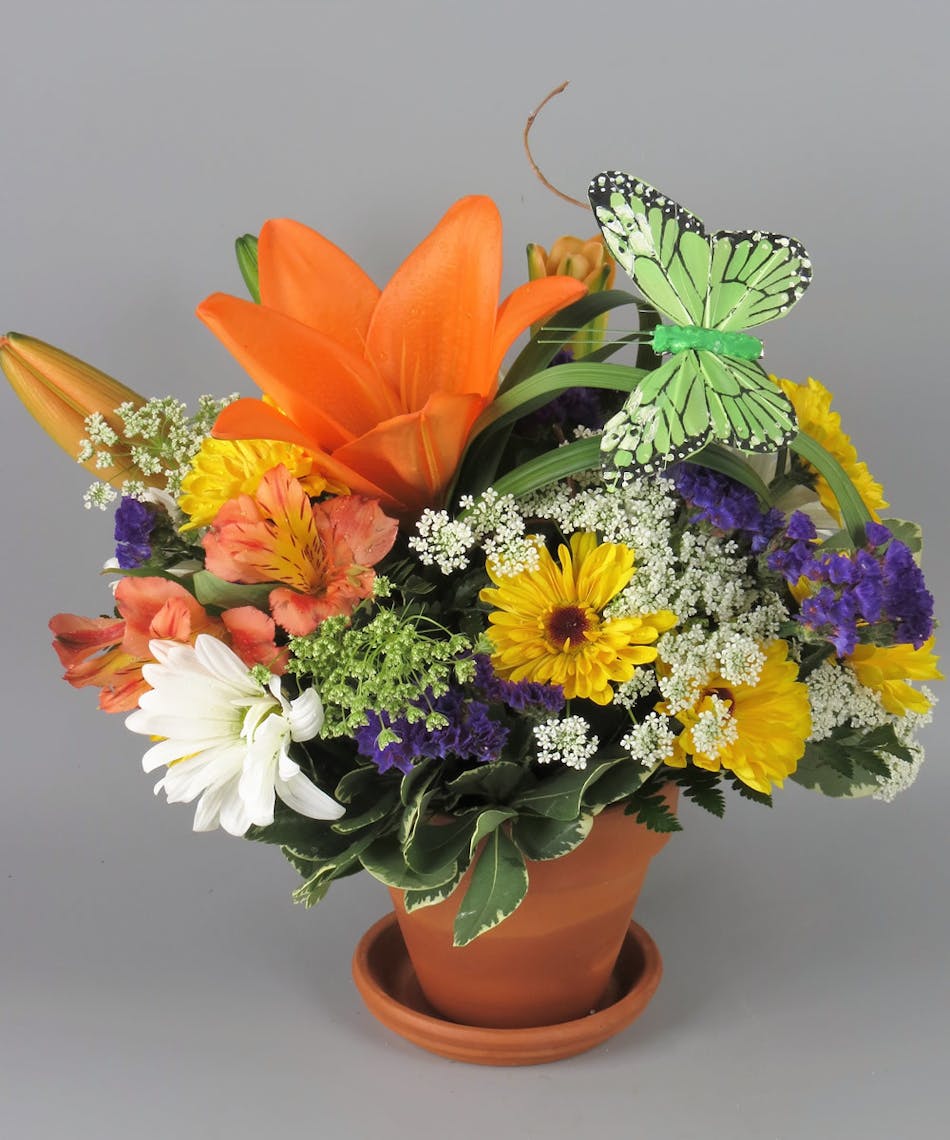 Summer flowers in a terra cotta pot with a butterfly