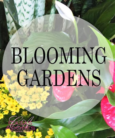 Blooming Gardens