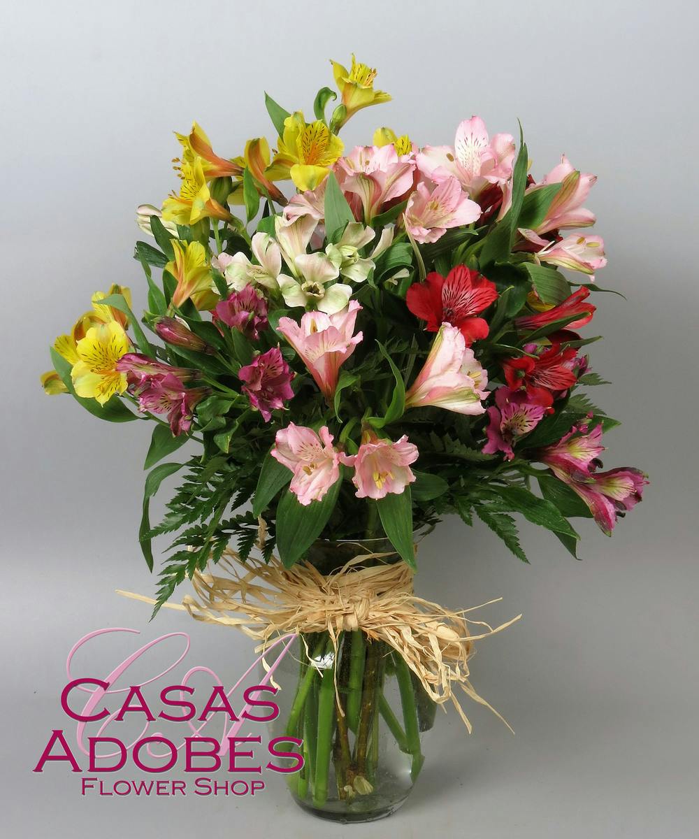 Tucson AZ Asltroemeria Lily Delivery Tucson Florist