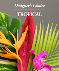Tropical Flowers