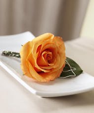 Orange Rose Boutonniere