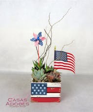Americana Succulent Planter