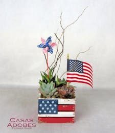 Americana Succulent Planter