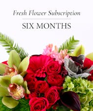 6 Month Occasion Flower Plan
