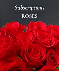 Roses Subscription