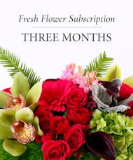 3 Month Occasion Flower Plan