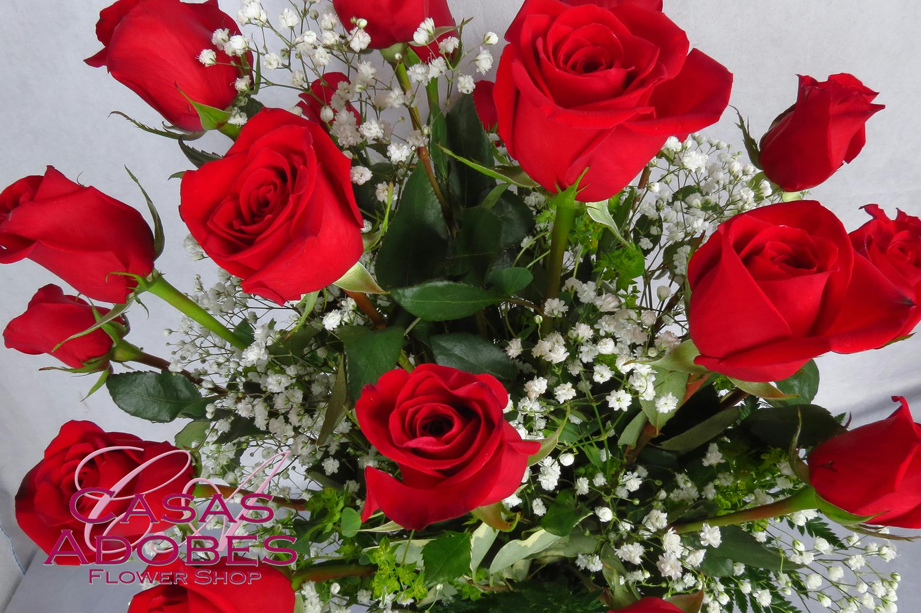 Tucson AZ Two Dozen Roses Delivery Tucson Florist